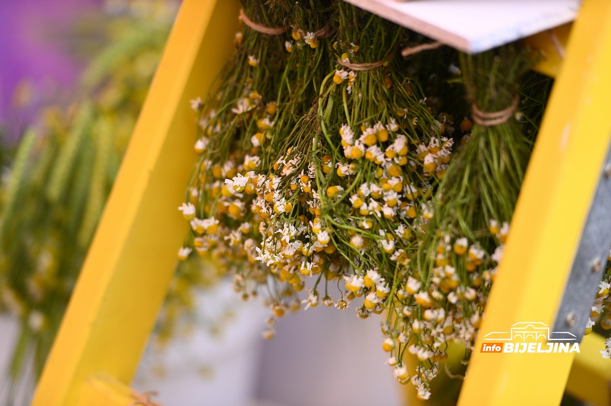 Otvoren Sajam cvijeća u Bijeljini (FOTO)