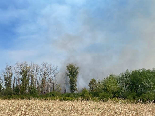 Ponovo aktivan požar u Amajlijama, vatra i prema Pavlovića putu (FOTO)