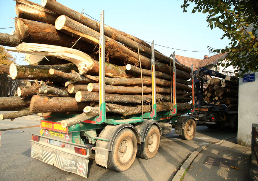 Vlada RS traži zabranu izvoza drvnih sortimenata i energenata iz BiH