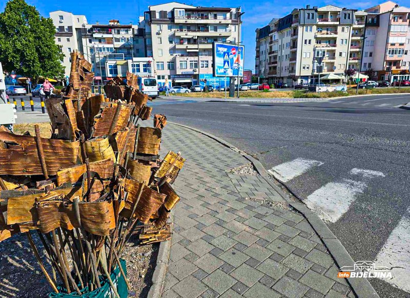 Bijeljina: Petrovdanske lile na svakom koraku, provjerili smo cijene (FOTO)