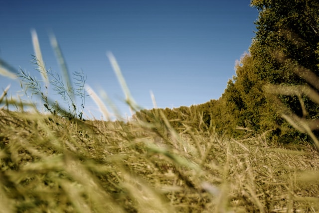 Danas promjenjivo oblačno i sunčano, ponegdje kiša