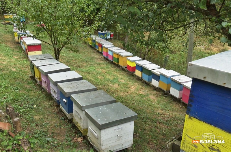 InfoBijeljina u posjeti majevičkim pčelarima: Godina loša, ali neće povećavati cijenu meda (FOTO)