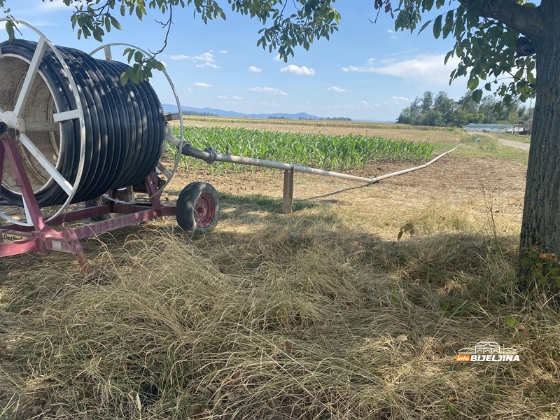 Šaroliki prinosi kukuruza u Semberiji: Jedni “beru” minuse, drugi “igraju” na provjerenu kartu