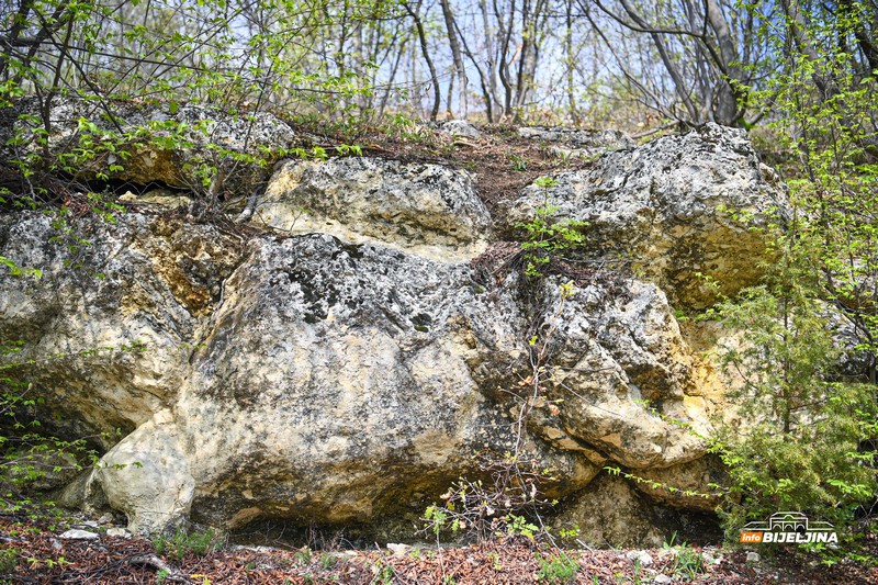 Semberija krije fosile Panonskog mora: Svijet koji je nestao prije miliona godina /FOTO; VIDEO/