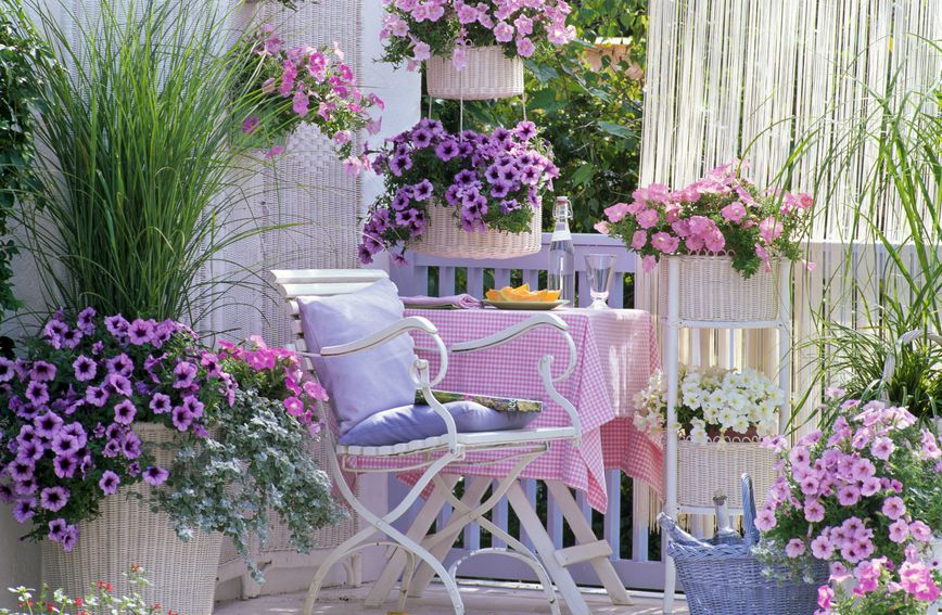 Pripremite vaše balkone i bašte za proljeće: Pet vrsta cvijeća koje uvijek uspijeva