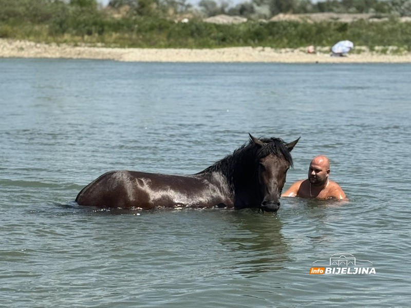 Spas od vrućine: Bijeljinac u Drini rashladio i sebe i konja (FOTO, VIDEO)