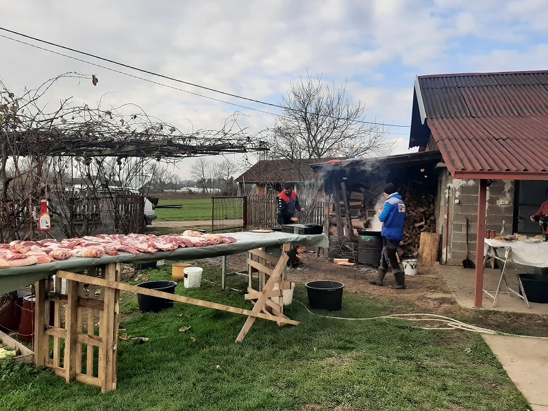 Afrička kuga smanjila ponudu tovnih svinja, uzgajivači jedva dočekali da najave više cijene