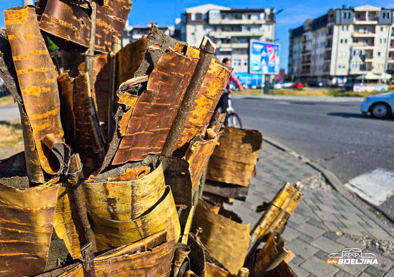Bijeljina: Petrovdanske lile na svakom koraku, provjerili smo cijene (FOTO)
