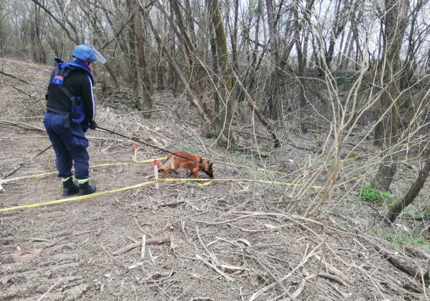 Da li su demineri morali ostati bez naknada: Najdeblji kraj radnicima u minskom polju