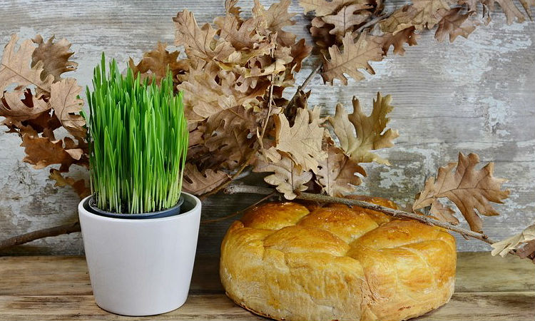 SUTRA TUCINDAN Na ovaj pravoslavni praznik počinje priprema božićne pečenice