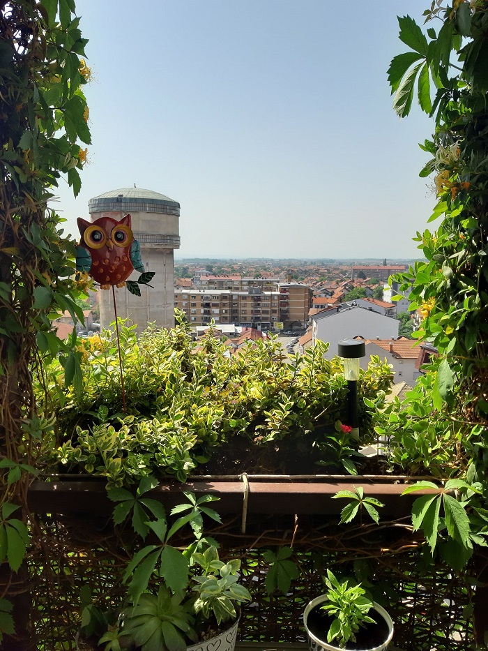 Pogledajte kako izgleda NAJLJEPŠE DVORIŠTE SEMBERIJE