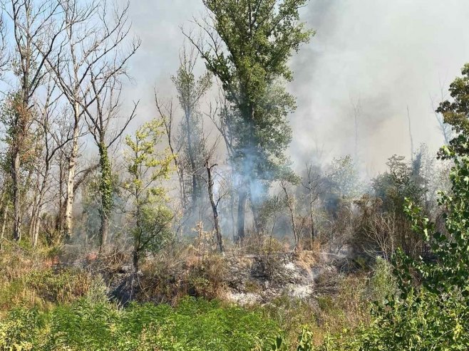Ponovo aktivan požar u Amajlijama, vatra i prema Pavlovića putu (FOTO)