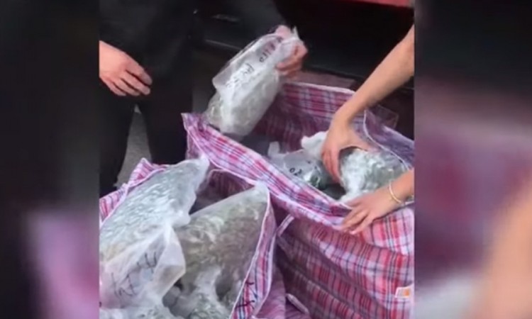 Državljani Srbije uhapšeni u Veroni: U keksu i uglju prevozili 232 kilograma droge