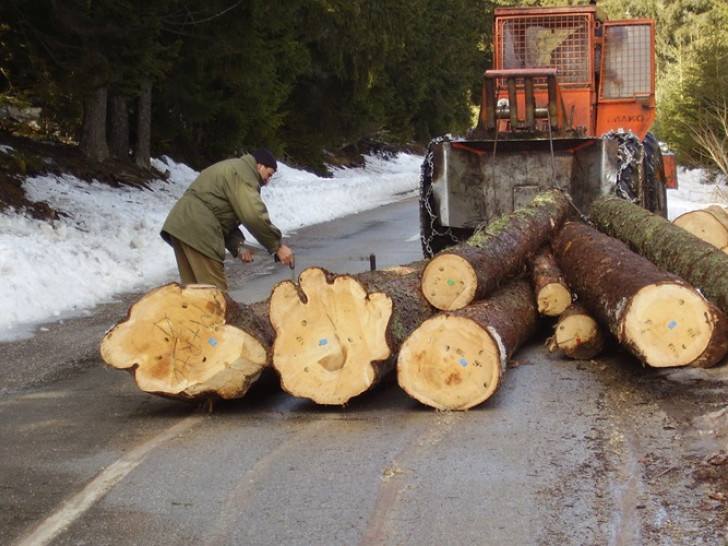 Rekordan decembar spasio statistiku, ali ne i drvnu industriju