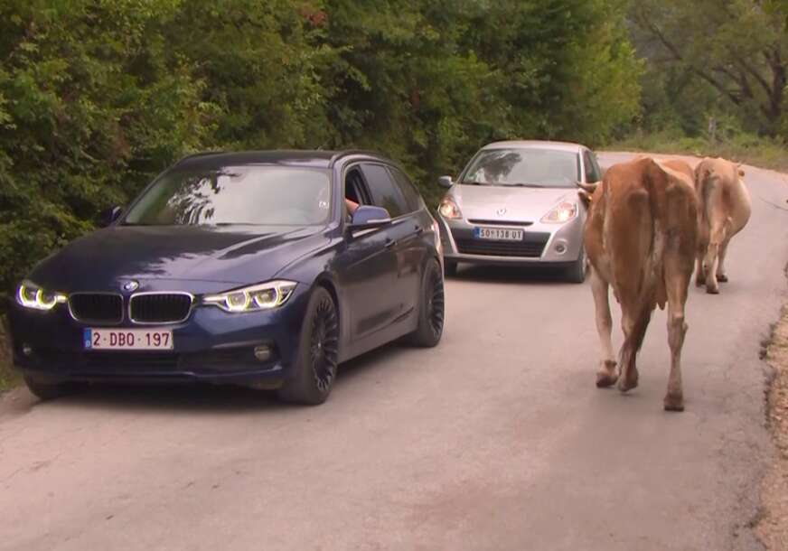Za put Foča - Šćepan Polje zajam od skoro 82 miliona evra, a po njemu šetaju krave