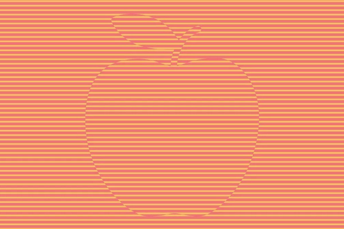 Mozak vas vara: Evo zašto dvoje ljudi može vidjeti različite stvari na istoj slici