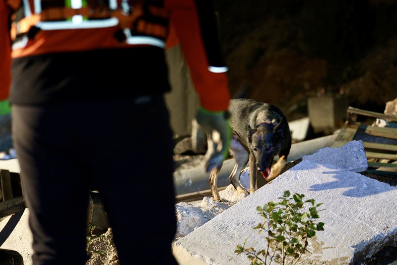 Tim GSS Bijeljina u međunarodnom programu obuke: Pas Kia polaže ispit za spasavanje ljudi