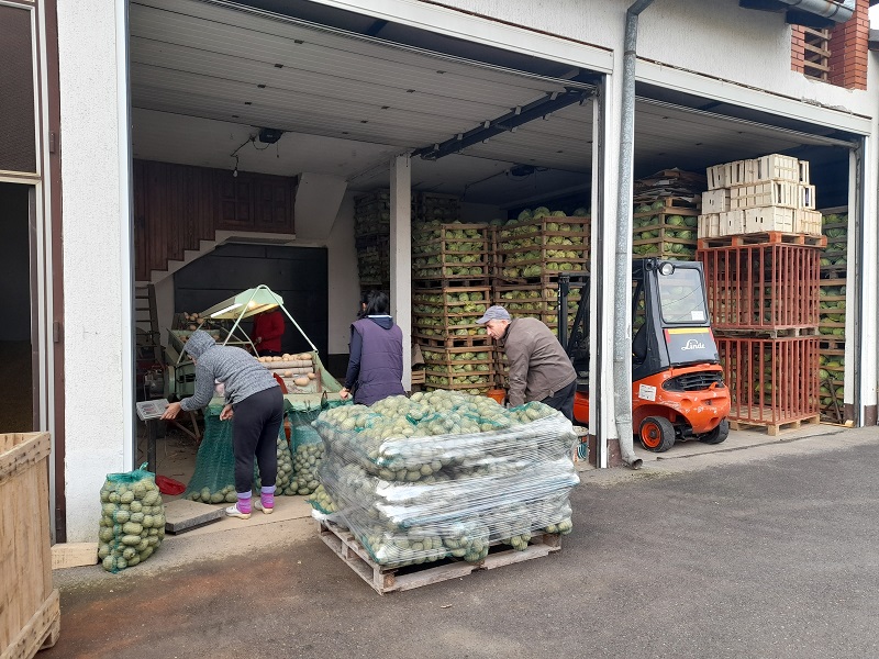 SEMBERIJA - ZEMLJA ODLIČNOG KVALITETA: Od poljoprivrede se može solidno živjeti