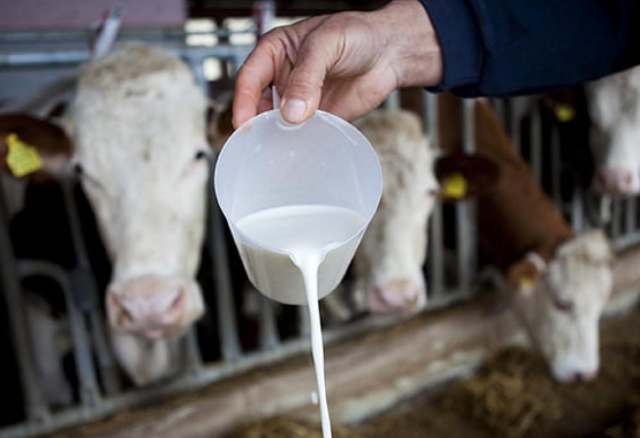 Litar mlijeka biće kao litar goriva