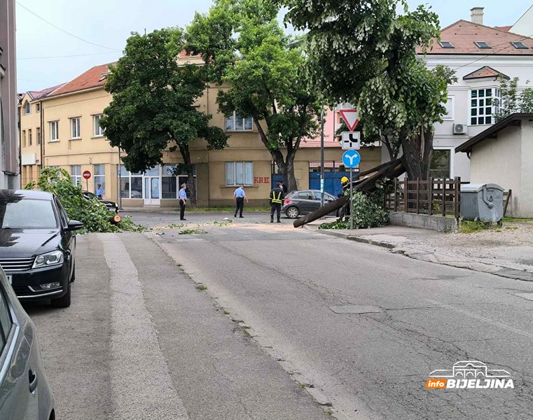 Bijeljina: Vatrogasci isjekli i uklonili stablo koje je palo na ulicu (FOTO)