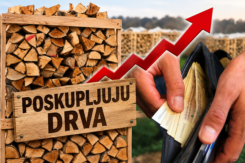 Novi udar na džepove: U BiH poskupljuju drva, pelet i plin, ali tu spisak možda nije konačan