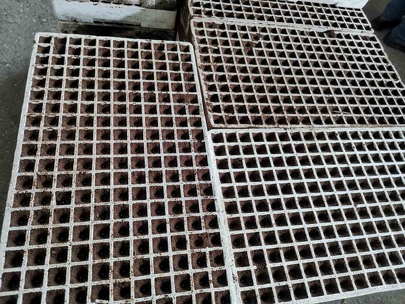 Proizvođači prešli na hidroponsku proizvodnju rasada duvana: Očekujemo uspješniju godinu nego prošlu