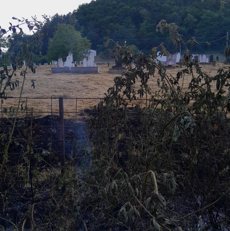 Požar prijetio pčelinjaku i domu u Novoj Kasabi: Vatrogasci spriječili katastrofu (FOTO)