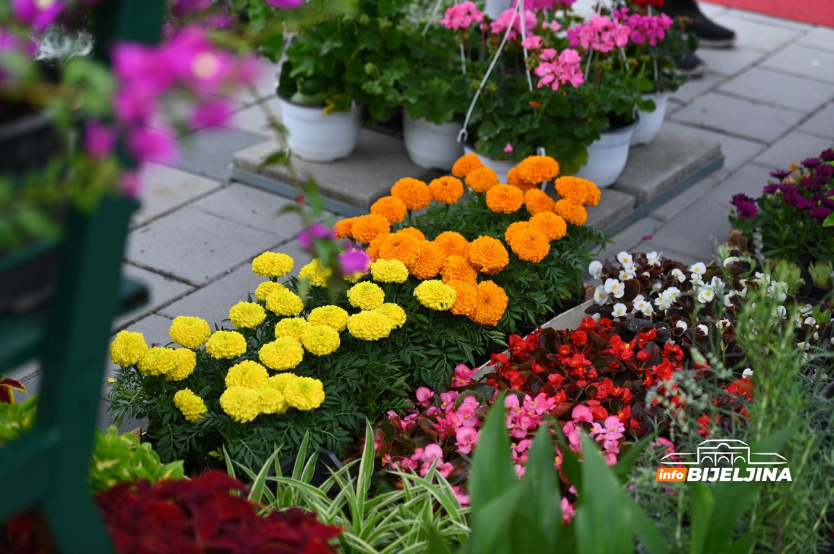 Otvoren Sajam cvijeća u Bijeljini (FOTO)