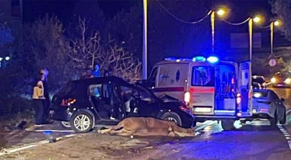 Tragedija kod Mostara: Poginula majka fudbalera Borca