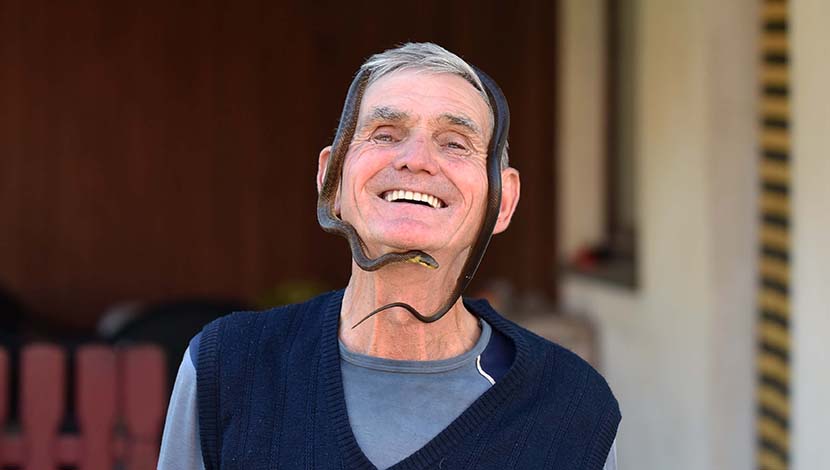 Gmizavci u Semberiji ne spavaju zimski san, pune ruke posla za zmijara Miću Pantića: Zmija se uvukla u korpu sa bebom