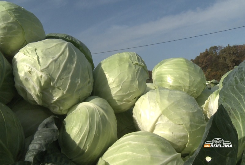 POJEFTINIO KUPUS u Srpskoj,  poznato koliko košta