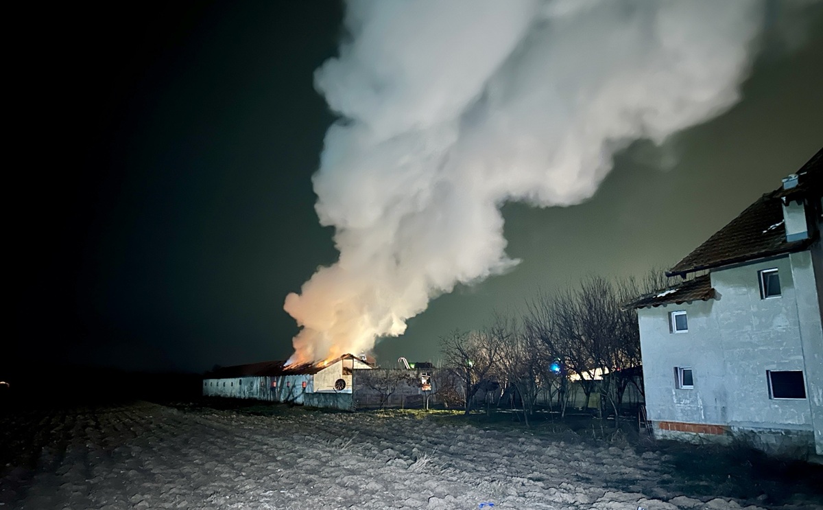 Krov izgorio u potpunosti: Ugašen požar na farmi svinja u Bijeljini