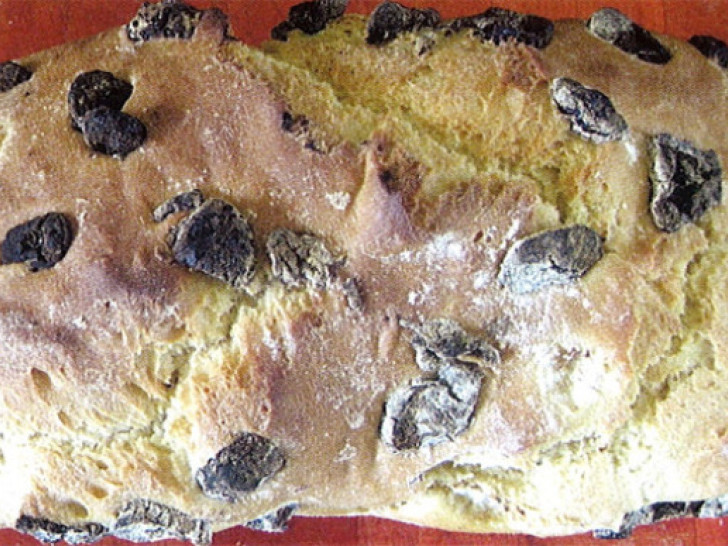 Recept za hljeb sa suvim šljivama, koji je čeličio vojnike