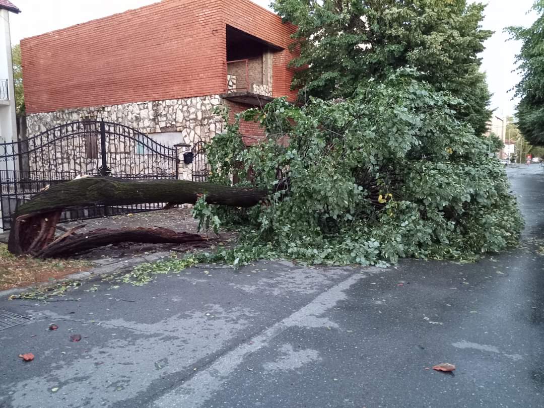 Novitović: Najviše štete u Bijeljini, Šamcu i Banjaluci