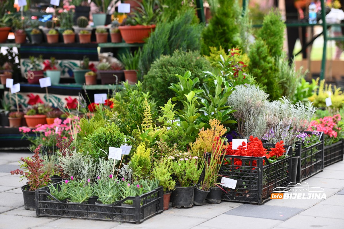 Otvoren Sajam cvijeća u Bijeljini (FOTO)