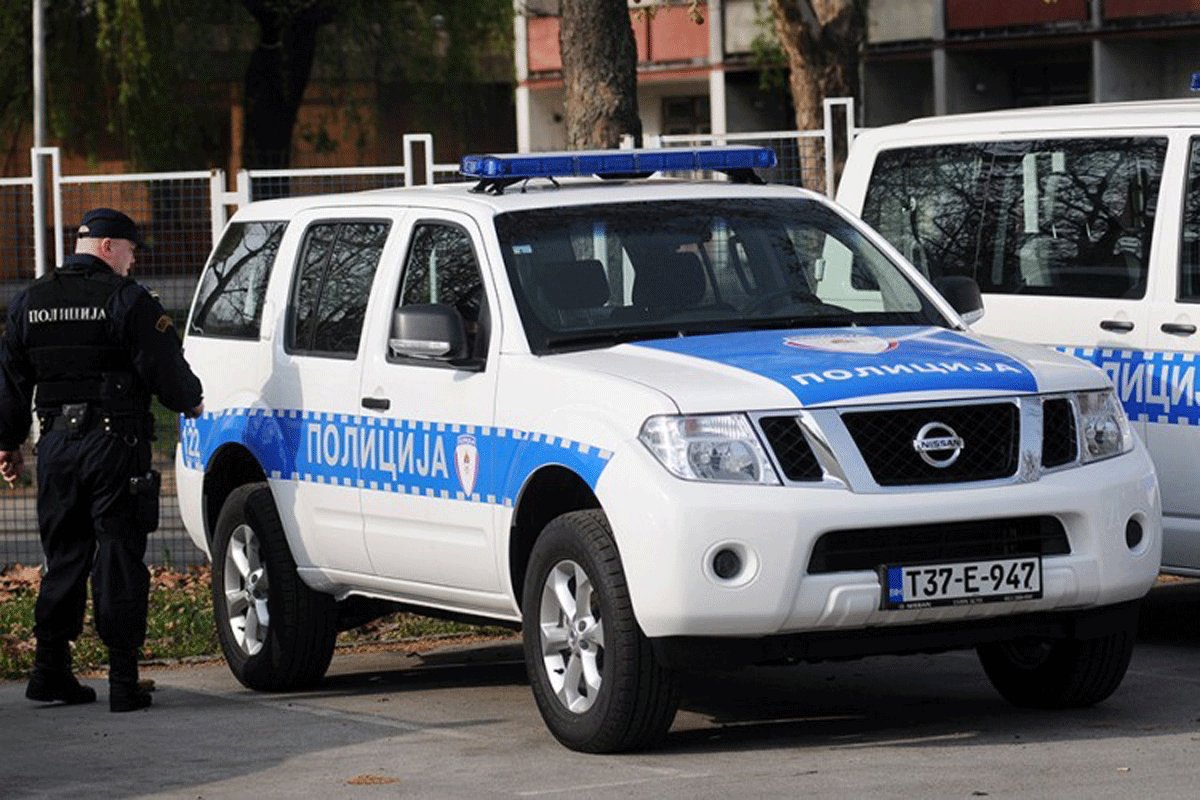 Policajci u akciji