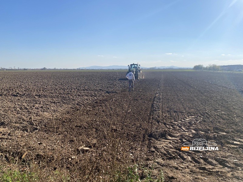 Napreduje ozima pšenica u Semberiji, ali joj prijeti opasnost: “Simptome možemo uočiti tek u proljeće”