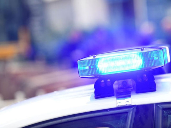 Tragedija u Istri: Drvo palo na dijete i ubilo ga!