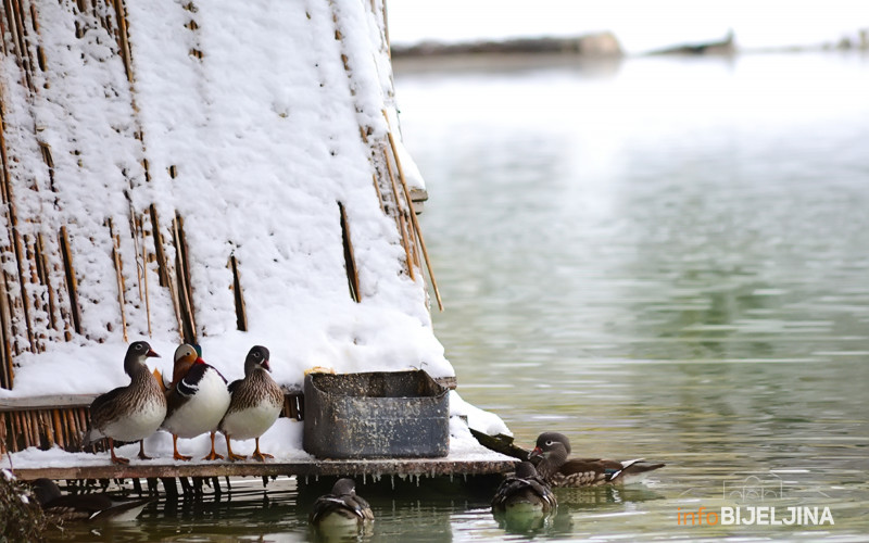 Narandžasto upozorenje za večeras zbog niske temperature