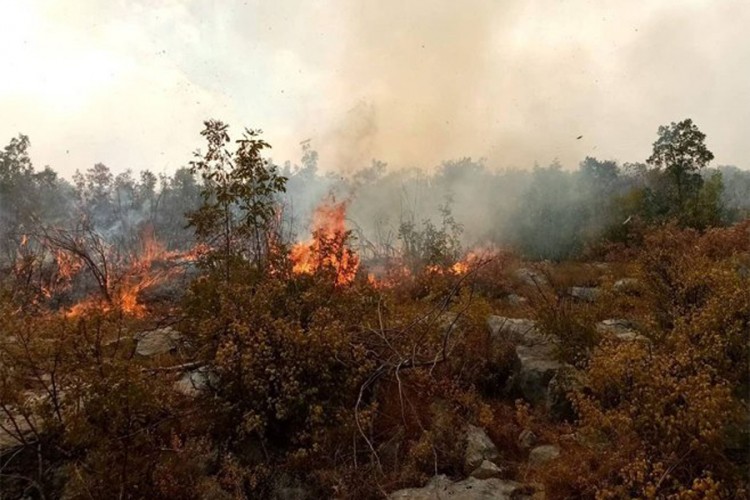 Aktivni požari na području Bileće i Gacka