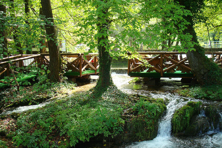 Najkraća rijeka na svijetu se nalazi u Srbiji? Evo zašto je zovu Godina