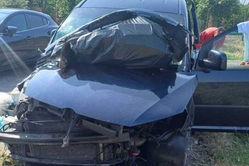 Kombi pun životinja iz BiH imao udes u Italiji, putnici povrijeđeni, životinje pobjegle