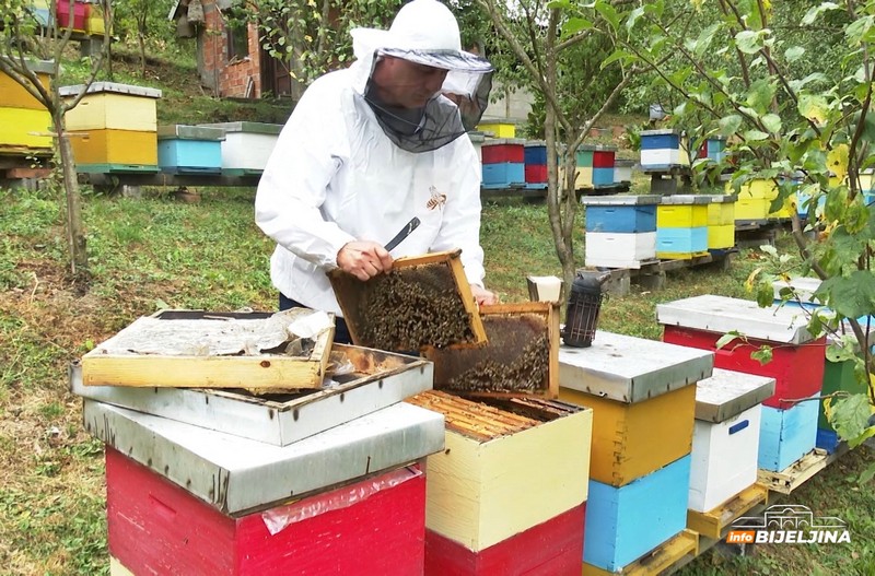 InfoBijeljina u posjeti majevičkim pčelarima: Godina loša, ali neće povećavati cijenu meda (FOTO)