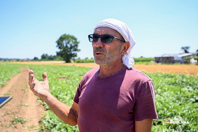 Poljoprivrednik iz Donjeg Crnjelova: Lubenicu prodamo za 0,40, a u marketima skuplja od marke (FOTO)