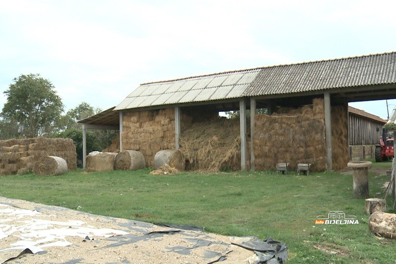 Mladi Semberac obrađuje 200 dunuma, hrani stoku i sam se o svemu brine: Teško naći djevojku koja bi da živi u selu