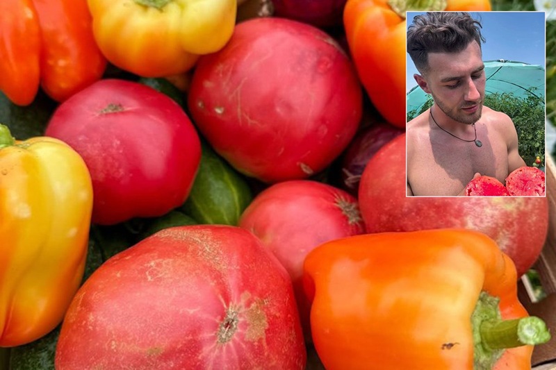 Ostao bez paradajza: Bijeljinski najpoznatiji farmer u regionu, žene ga obožavaju (VIDEO)