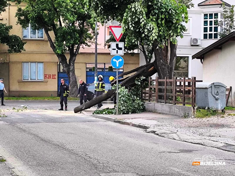Bijeljina: Vatrogasci isjekli i uklonili stablo koje je palo na ulicu (FOTO)