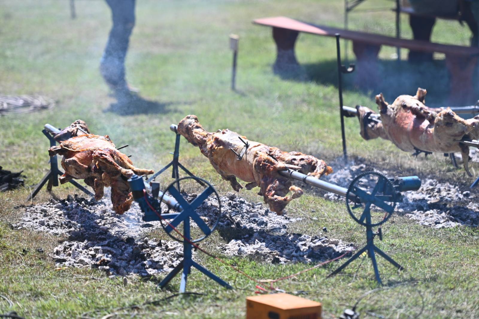 U Milićima se održava treća „Jagnjijada“ – mjesto dobrog druženja, muzike i odlične trpeze! (FOTO)