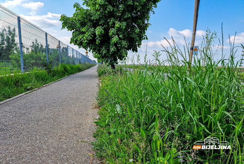 Bijeljina: U korov obraslo omiljeno šetalište, trava “progutala” klupe (FOTO)