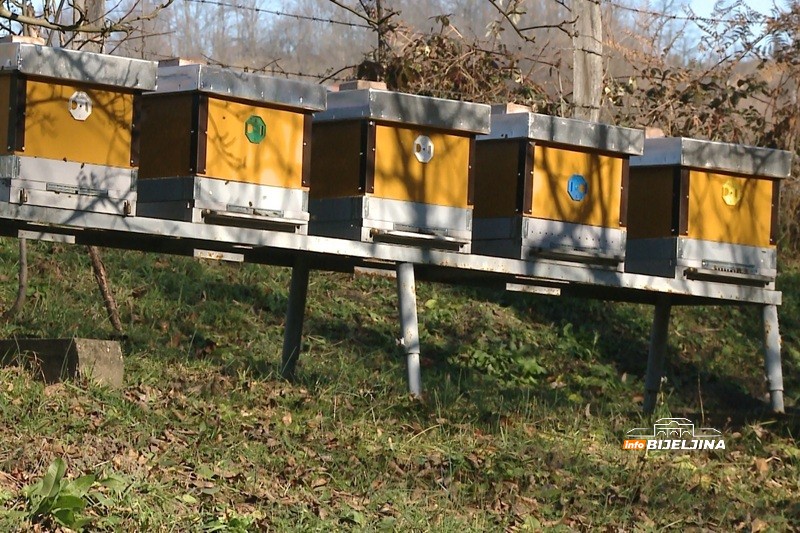 Majevica ima više od 4.000 pčelinjih društava i zaštićen med:  Trud i rad daju rezultate (FOTO)